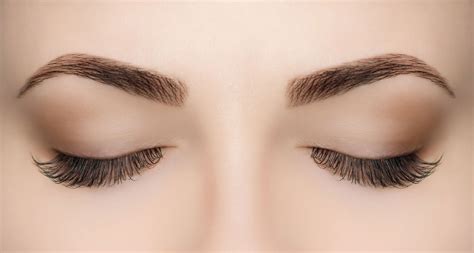 How to have the best eyebrows for your face | Love My Senses EN