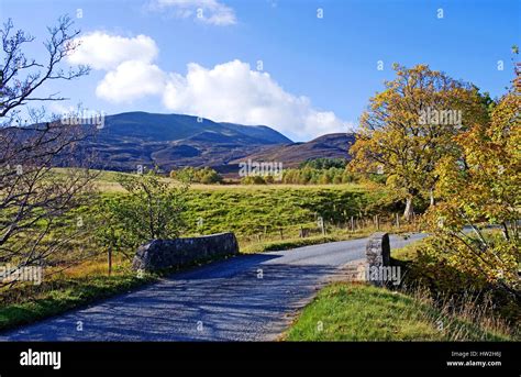 Country lane at Braes of Foss, Highland Perthshire, on a beautiful ...