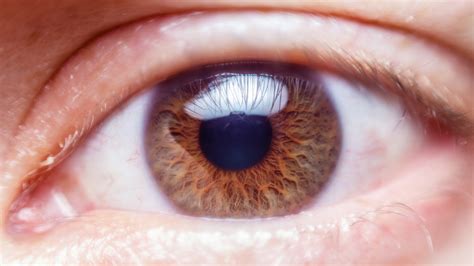 Human Eye Close Up Free Stock Photo - Public Domain Pictures