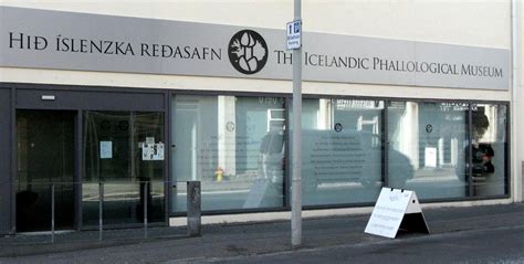 The Icelandic Phallological Museum - The Iceland Museum Guide