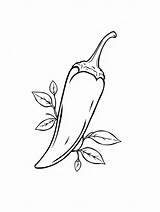 10  Free Printable Chili Pepper Coloring Pages For Kids sketch template