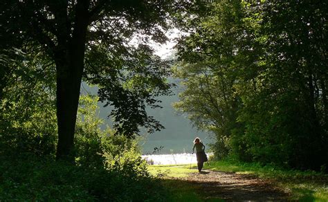 The Amsterdamse Bos (Amsterdam Forest)