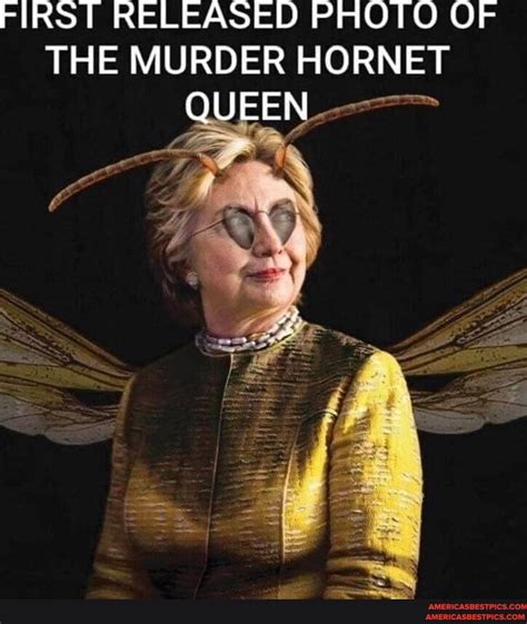 FIRST RELEASED PHOTO OF THE MURDER HORNET QUEEN - America’s best pics and videos