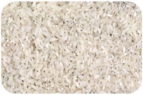 Organic Medium Grain White Rice - Nature Bio Foods