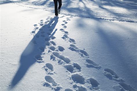 Snow footprints Stock Photo free download