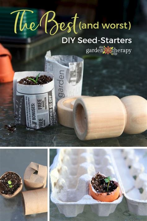 DIY Seed Starting Trays: 7 Easy, Inexpensive Containers to Try