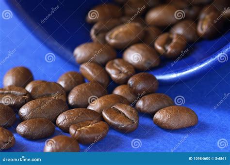 Coffee beans stock photo. Image of pile, ingredient, bean - 10984600