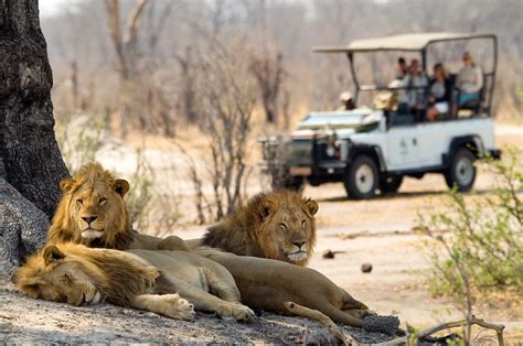 Hwange National Park a Wildlife Paradise! – Zimbabwe A World of Wonders