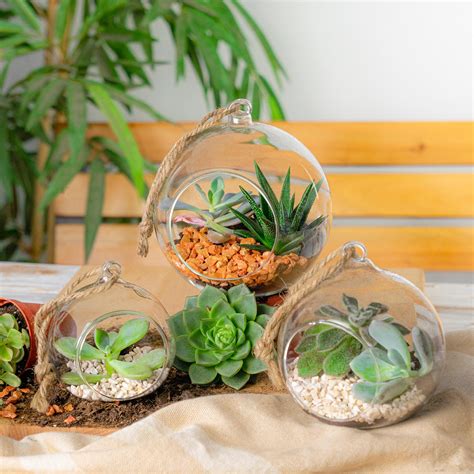 Terrarium Glass Plant Succulent Planter Indoor Hanging Flower Tabletop x3 | eBay