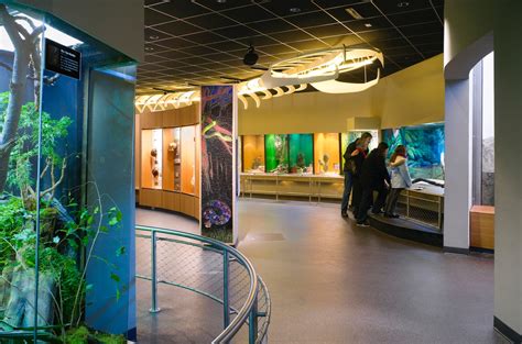 Staten Island Zoo Reptile Wing Exhibit - Architizer