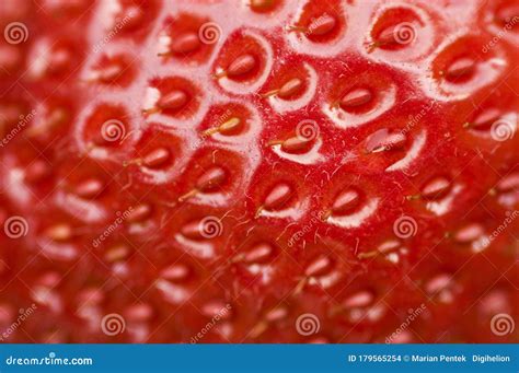 Closeup of Fresh Strawberry Showing Seeds. Detailed Surface Shot Stock Photo - Image of healthy ...