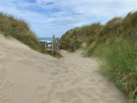 Bodega Dunes Beach And Campground In Sonoma Coast State Park