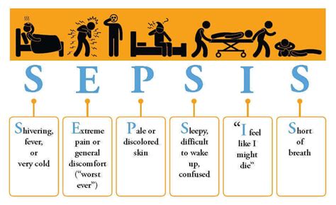 Sepsis & Septicemia: Symptoms, Causes & Treatment - Health Blog