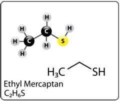 Mercaptans 101 – The New Bad Actor - Q2 Technologies