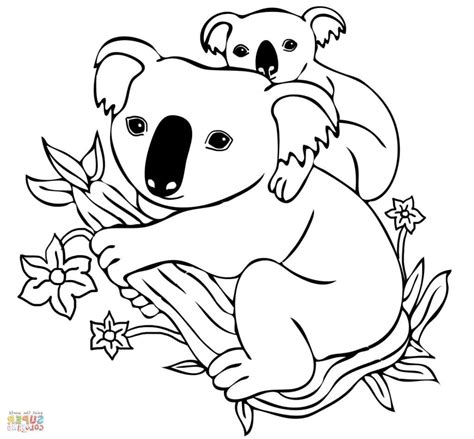 Baby Koala Drawing at GetDrawings | Free download