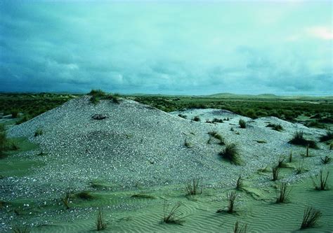 Fisheries in New Zealand – timeline — Science Learning Hub