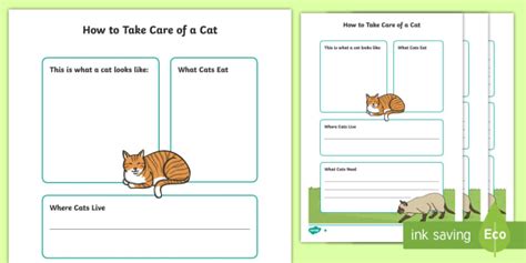 Cat Facts for Kids - Twinkl Homework Help - Twinkl