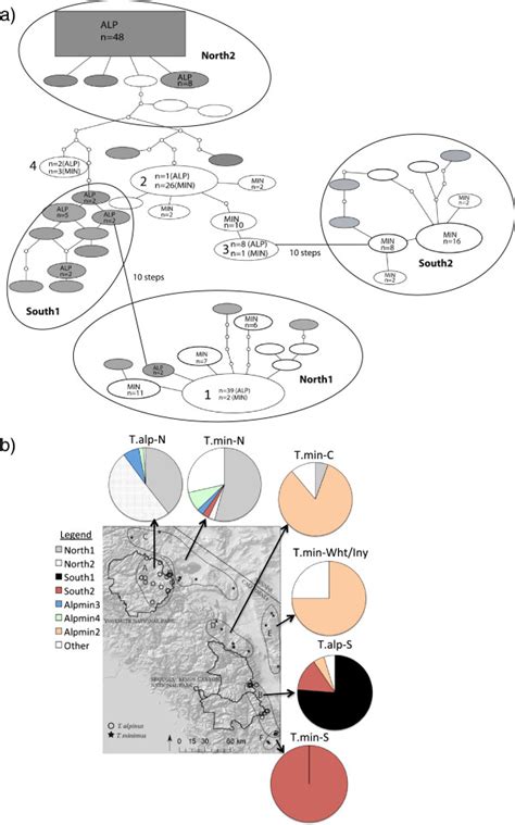 Haplotype network and map of major haplogroups.a) 95% Statistical... | Download Scientific Diagram