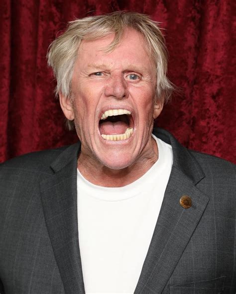 Gary Busey “Tell me that doesn’t look like Nick Nolte’s mug shot with a ...