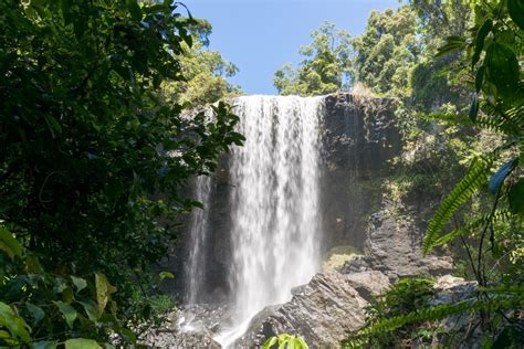 A Guide To The Atherton Tablelands Waterfalls - Explore Shaw