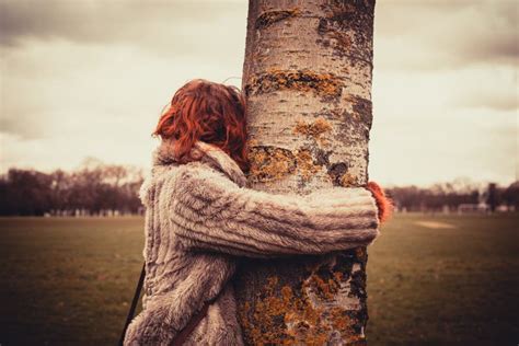 Woman hugging a tree stock image. Image of protection - 38099701