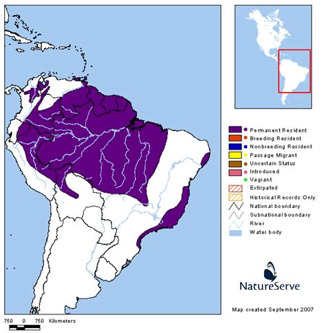 Americas Range Map - Channel-billed Toucan | BirdPhotos.com