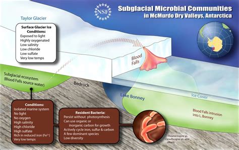 The Mystery Of Antarctica's Unusual "Blood Falls" Explained