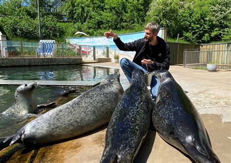 Saarbrücken: Zoo zieht mehr Besucher an – neuer Direktor braucht Masterplan