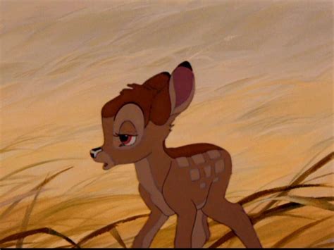 Bambi - Bambi Image (5794365) - Fanpop