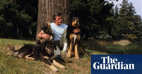 Alain Delon’s family refuses to euthanize the dog the actor wanted to be buried with | Alain ...