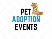 48 Pet Adoption Events ideas | pet adoption, pet adoption event, adoption