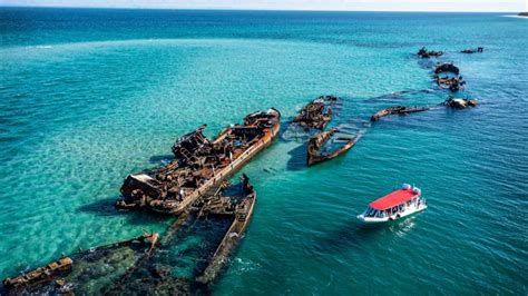 Tangalooma Wrecks Guided Snorkel Tour from Brisbane - Adrenaline