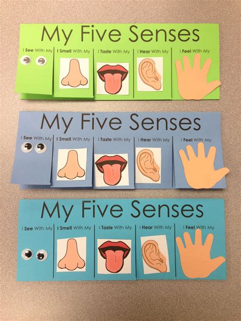 Five Senses Craft - flip book visit www ... | Senses preschool, Five senses preschool, Preschool ...