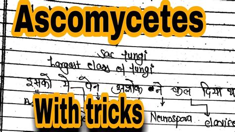 Sac Fungi - Ascomycetes || Examples & Characters || Tricks Mnemonics ...