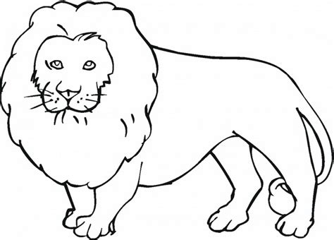 Free Printable Animal Outlines