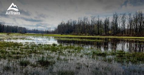 Best Trails in Sandy River Delta Park - Oregon | AllTrails