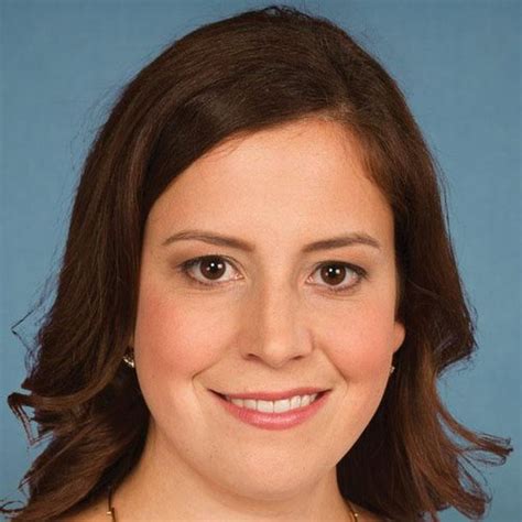 Elise Stefanik's Political Summary - The Voter's Self Defense System ...