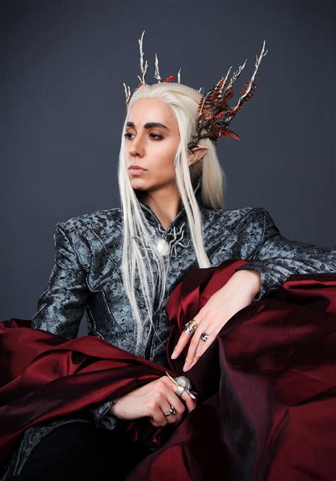 Thranduil Cosplay by Abessinier on DeviantArt