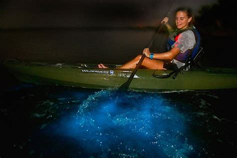 Dinoflagellate Bioluminescence Kayak Tour 2022 - Cocoa Beach - Viator