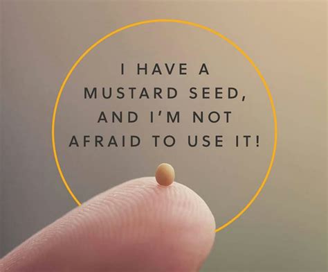 The Power of a Mustard Seed? | Desert Streams Ministries