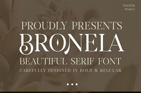 36 Best Transitional Typefaces (Fonts to Download)