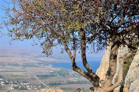 Jesus Trail - Hiking through Galilee Countryside in Spring Time, from Nazareth To Sea of Galilee ...