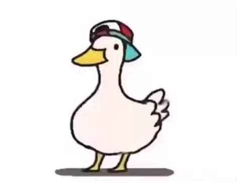 Have a dancing duck [Video] | Anime funny, Funny animal jokes, Funny animal videos