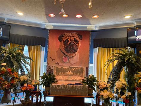 Photos show the extravagant open-casket funeral for a pet pug much beloved by a pastor from ...