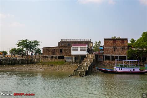 In search of the Legendary Swamp Tiger - Sundarbans Tiger Reserve ...