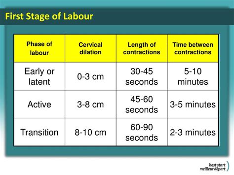 Labor Model Template