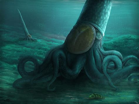 Endoceras giganteum was a species of giant Nautiloid cephalopod that lived during the Ordovician ...