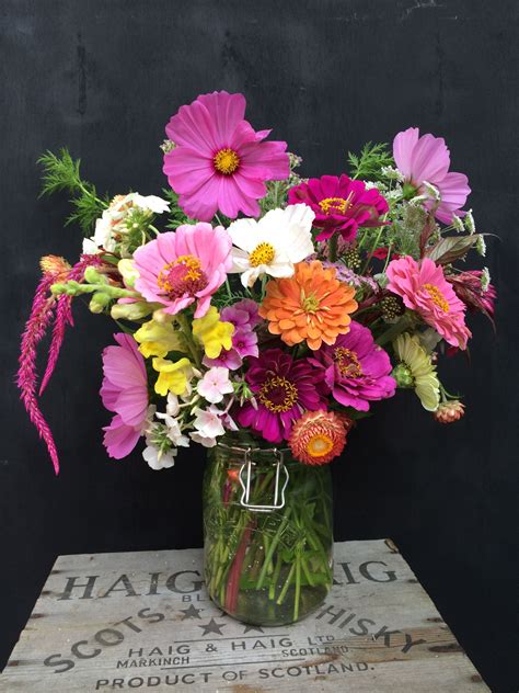 Cut Flower Bouquet : Celosia, Cosmos, Sweet Annie, Zinnia, Ammi, Strawflower, Snapdragon, Phlox ...