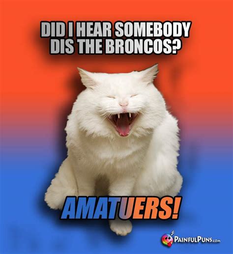 Denver Broncos Jokes, Animal Fan Bronco Puns 6 | PainfulPuns.com