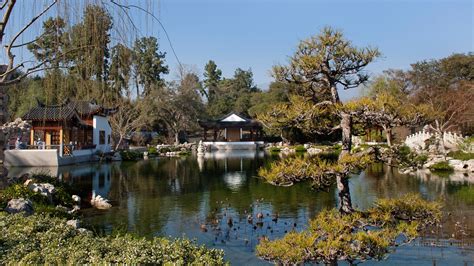 The Huntington Library, Art Museum, and Botanical Gardens – Attraction Review | Condé Nast Traveler